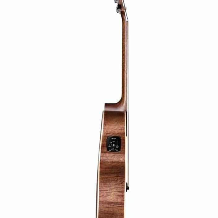 Guitare acoustique Baton Rouge AR61S/ACE