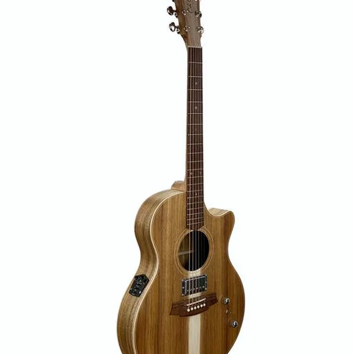 Guitare Cole Clark TL2EC-BLBL-HUM