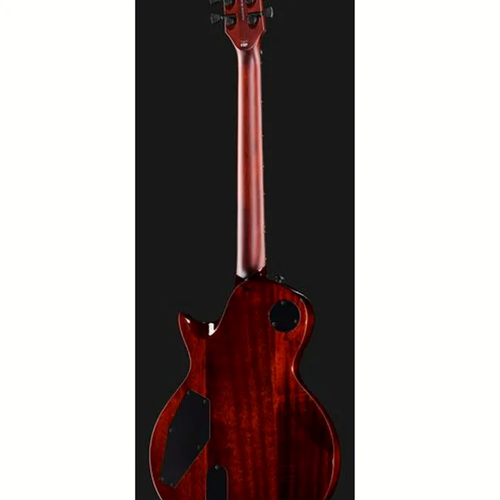 Guitare ESP LTD EC-1001FM Tiger Eye