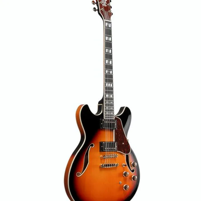 Guitare Ibanez AS113-BS