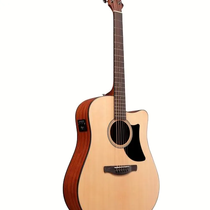 Guitare Acoustique Ibanez AAD50CE-LG