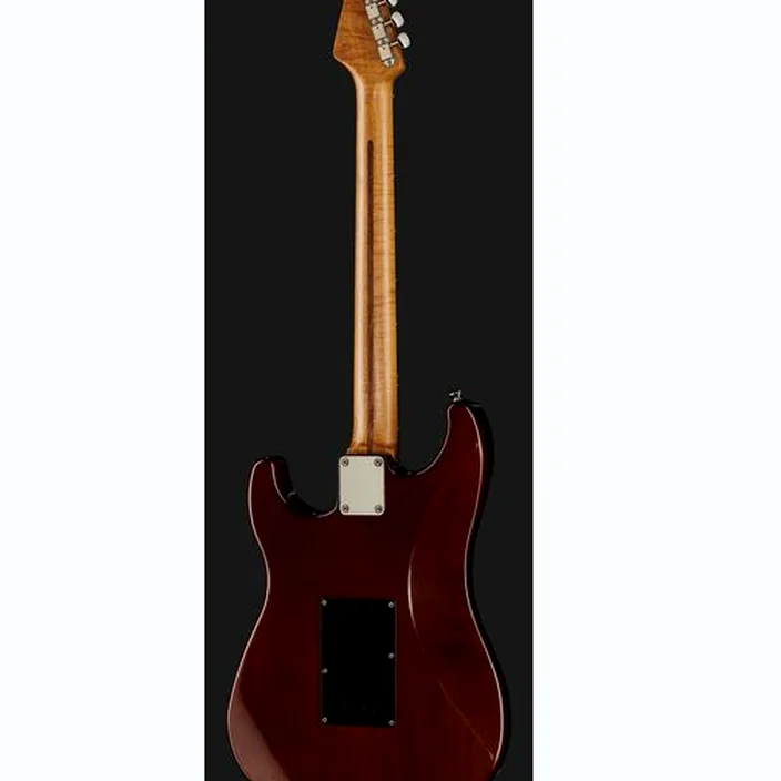 Et Avis de la guitare électrique LSL Saticoy Rosewood Top LightAged