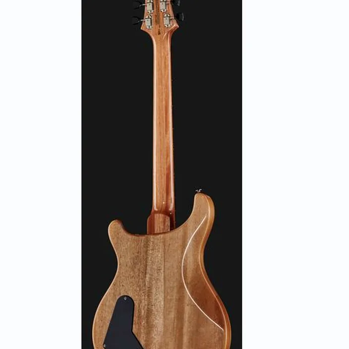 Et Avis PRS SE Pauls Guitar DC