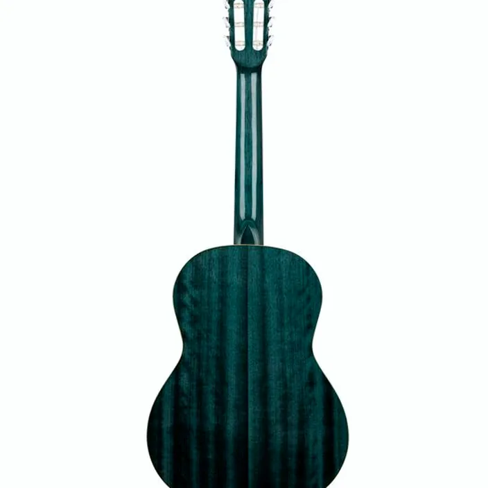 Et Test de la guitare Classique Ortega R121SNOC