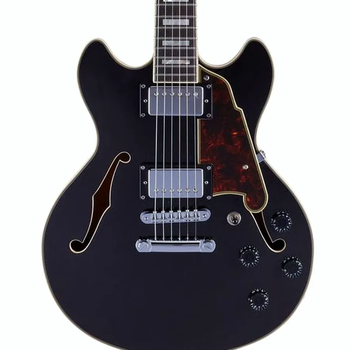 DAngelico Premier Mini DC Black Flake