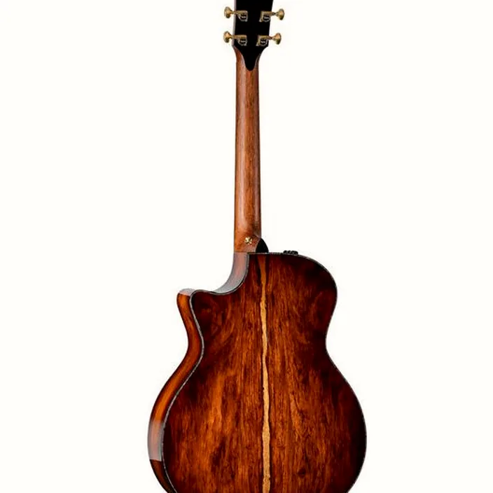 Guitare acoustique Taylor PS14ce Presentation 21
