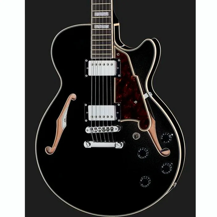 Guitare DAngelico Premier SS Black Flake