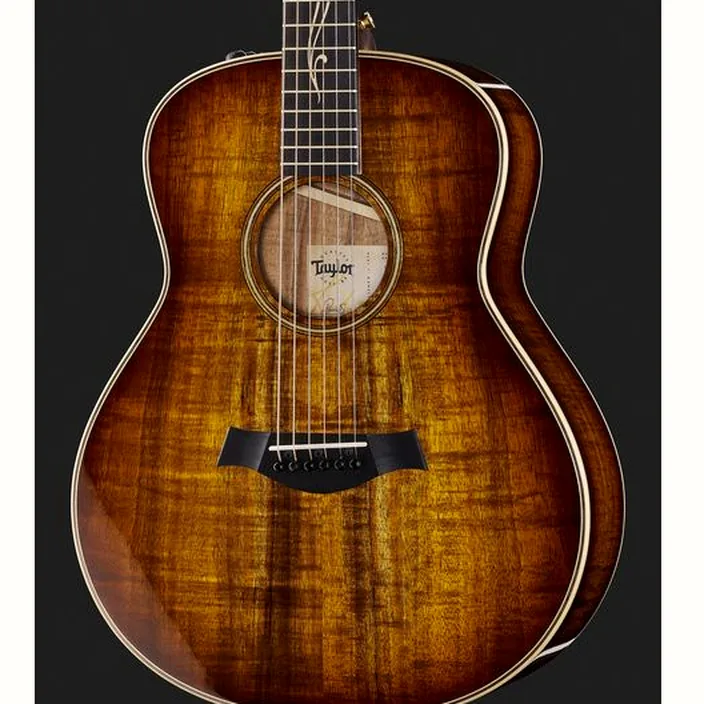 Guitare Taylor GT K21e
