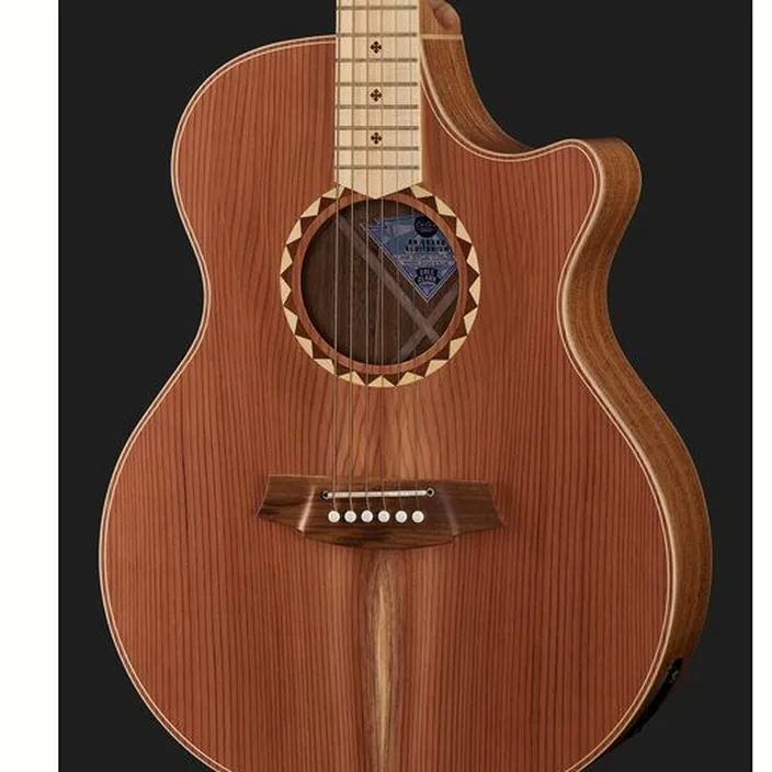 Guitare Acoustique Cole Clark AN2EC-RDBL-SB