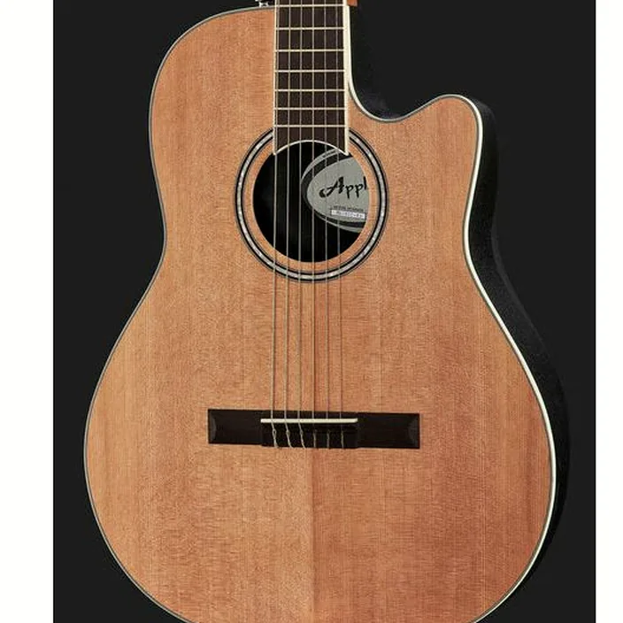 Guitare classique Applause Traditional AB24CC-4S