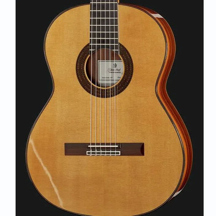 Guitare Hopf Nr. 62 Professional