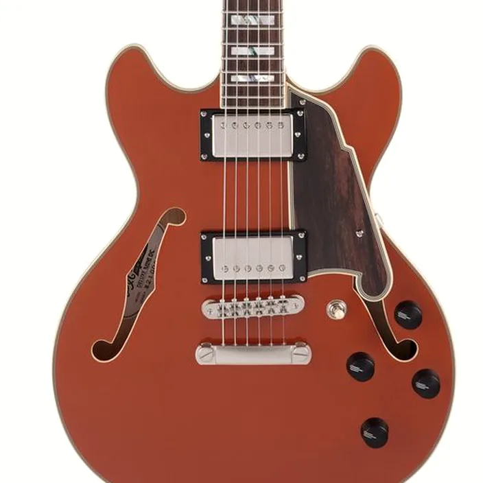 DAngelico Deluxe Mini DC LE Rust , Avis, Test
