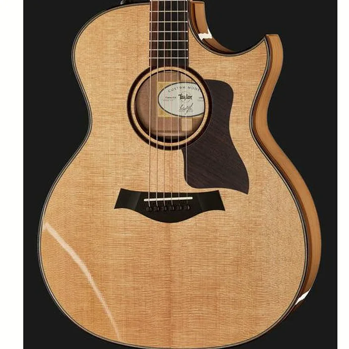 Guitare Acoustique Taylor Custom #10101 Grand Auditorium - Comparatif, Avis & Test