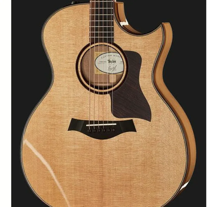 Guitare Acoustique Taylor Custom #10101 Grand Auditorium - Comparatif, Avis & Test