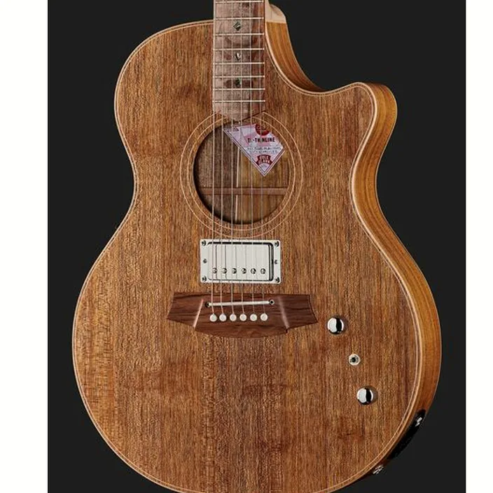 Guitare Cole Clark TL2EC-BLBL-HUM - Comparatif, Avis & Test