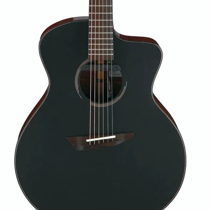 Guitare Ibanez JGM10-BSN Jon Gomm : Test, Avis