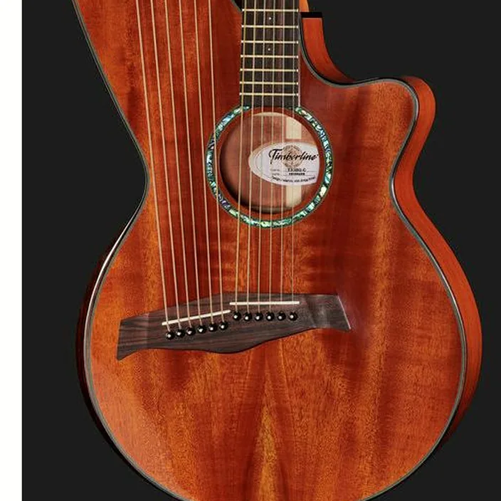 Guitare Timberline Guitars T30HGc-e Harp Guitar / Test et Avis