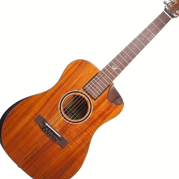 La guitare Acoustique Journey Instruments OF882C Acacia Acoustic | Comparatif, Test, Avis
