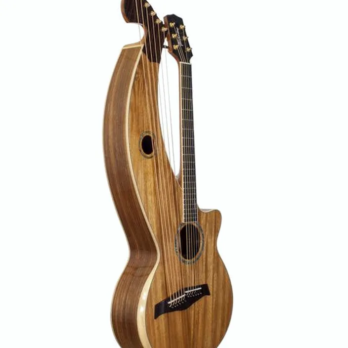 La guitare Acoustique Timberline Guitars T60HGc-e Harp Guitar , Comparatif, Avis et Test