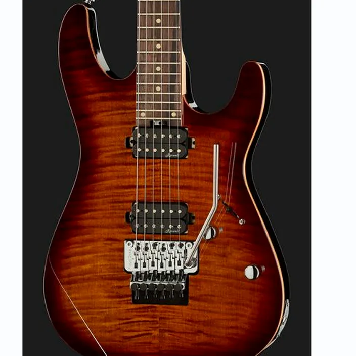 La guitare électrique Harley Benton Fusion-III HH FR EB FBB w/Case / Test, Avis