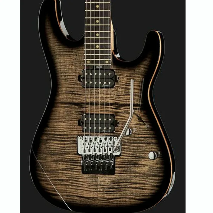 La guitare électrique Harley Benton Fusion-III HH FR EB FCB / Avis, Test et Comparatif