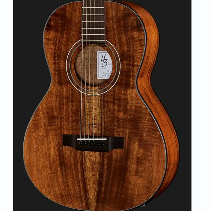 La guitare Harley Benton CLP-15E Flame Koa Exotic Avis, Test