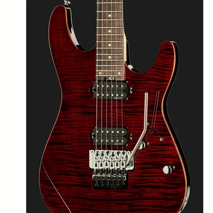 La guitare Harley Benton Fusion-III HH FR EB FCH : Avis, Test, Comparatif
