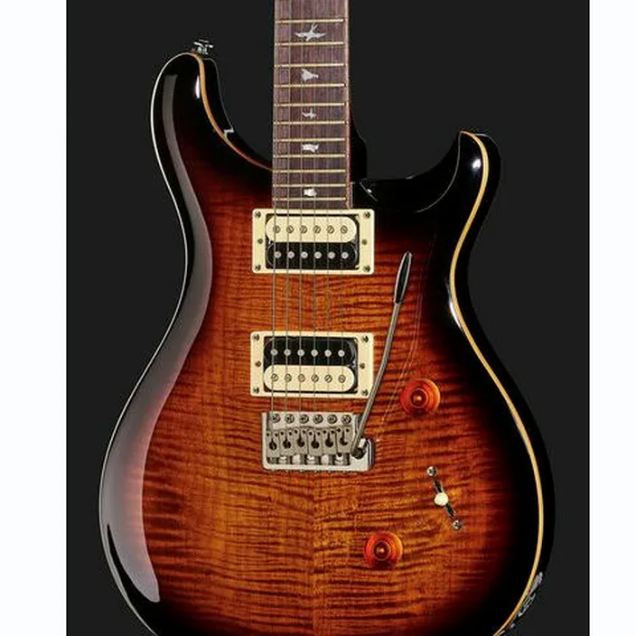 PRS SE Custom 24 BG - Comparatif, Test, Avis