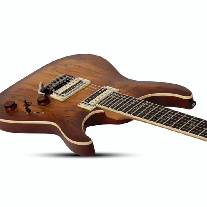 Schecter C-1 Exotic Spalted Maple SNVB : Avis, Comparatif & Test