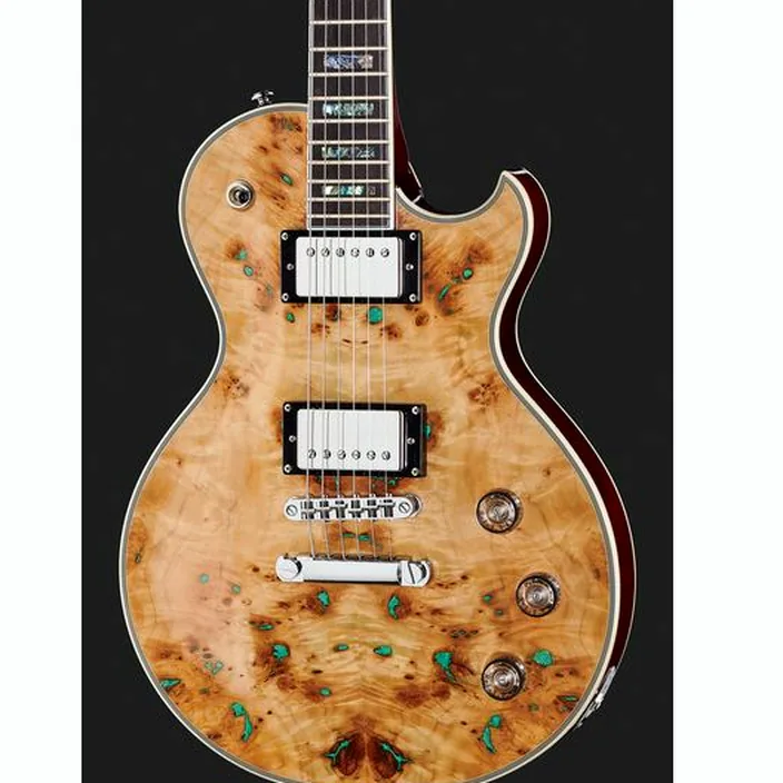 Schecter Solo-II Custom GNAT / Test, Comparatif et Avis