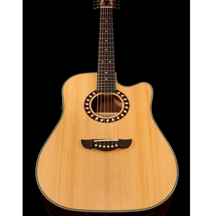 Guitare acoustique Harley Benton Custom Line CLD-1048SCE Bundle