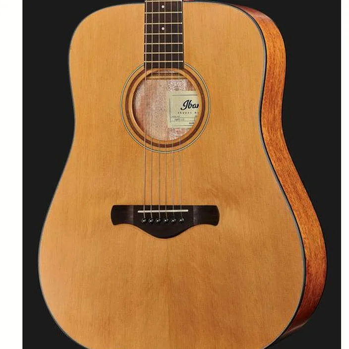 Guitare acoustique Ibanez AW65-LG