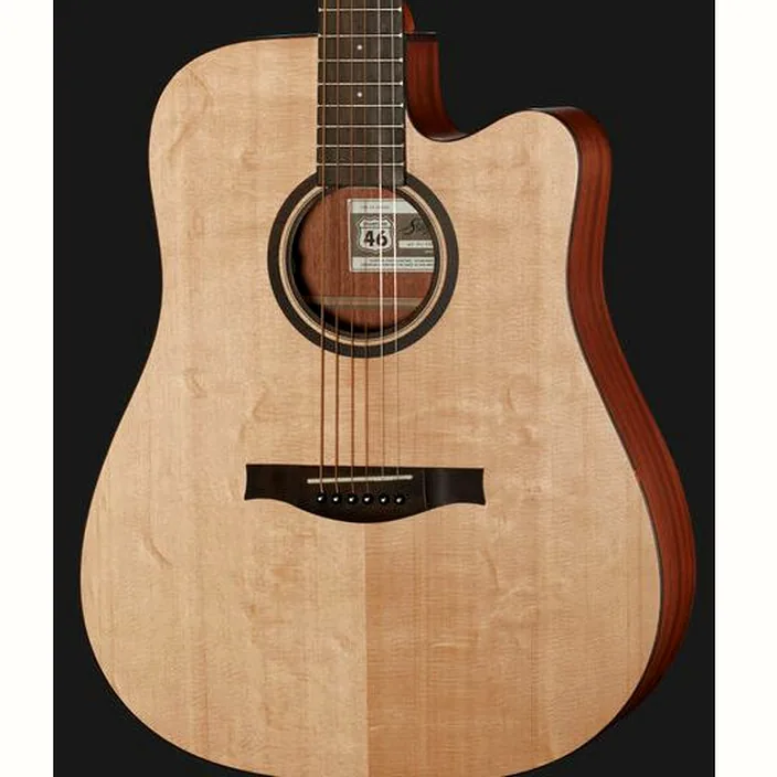 Guitare acoustique Stanford 46-D1-SM-ECW