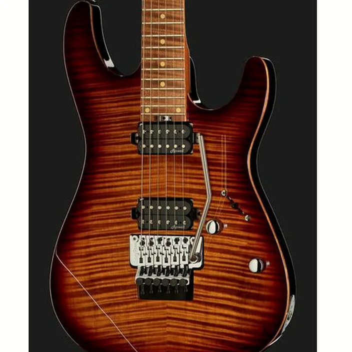 Guitare électrique Harley Benton Fusion-III HH FR Roasted FBB