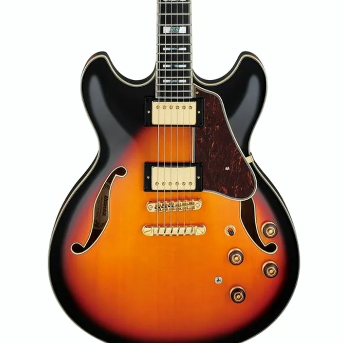 Guitare Ibanez AS113-BS