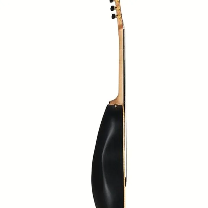 Guitare Acoustique Adamas U581T-SPM