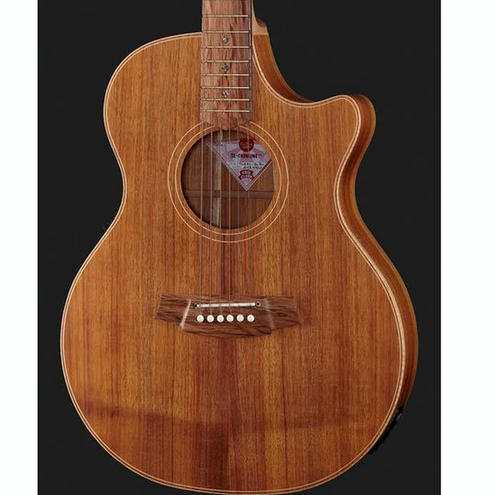 Guitare Acoustique Cole Clark TL2EC-BLBL Thin line