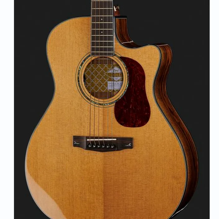 Guitare acoustique Cort Gold A6 Bocote