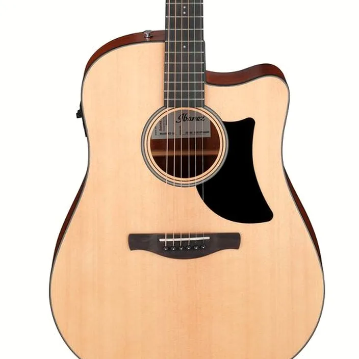 Guitare Acoustique Ibanez AAD50CE-LG