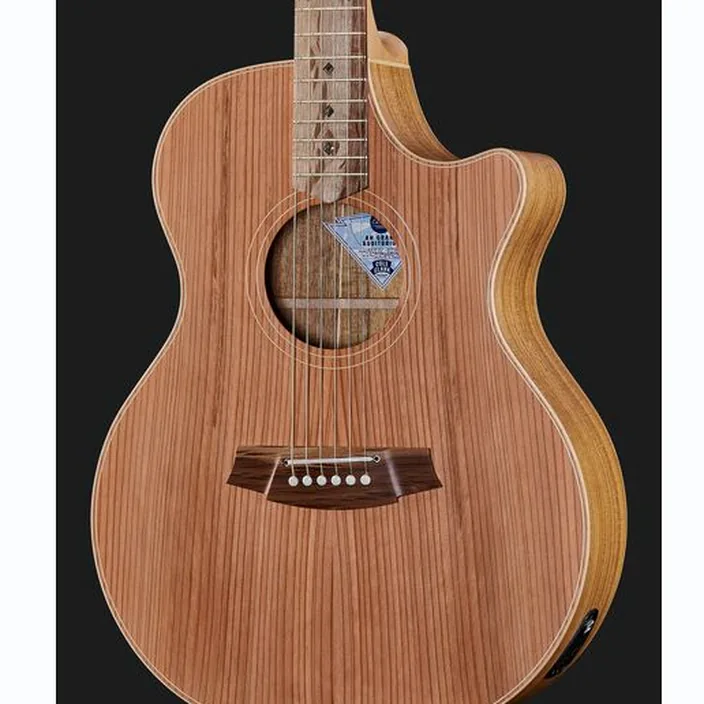 Guitare Cole Clark AN2EC-RDBL