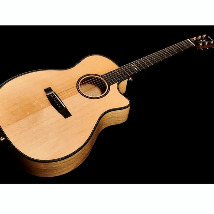 Guitare Cort GAMY-BV Natural w/Bag
