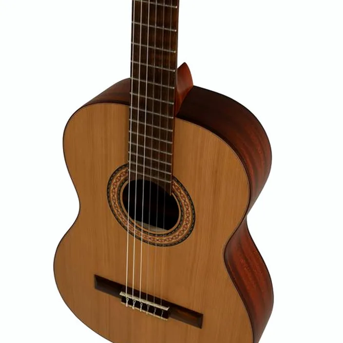 Guitare Manuel Rodriguez T-62