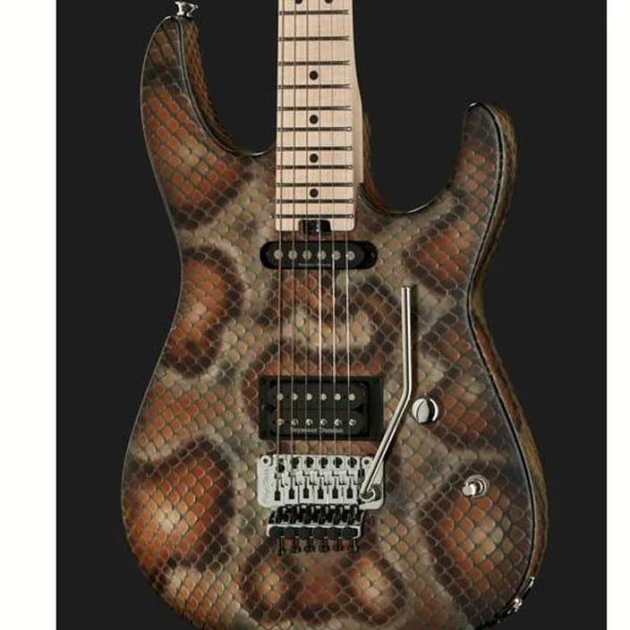 Et Avis Charvel Pro Mod DK WDM Snake