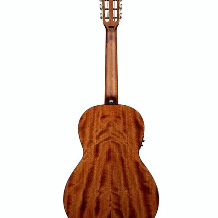 Et Avis de la guitare Acoustique Framus Legacy FP 14 SV Parlor EQ NT