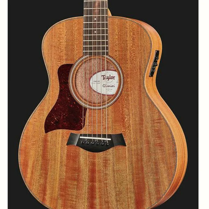 Et Avis Guitare acoustique Taylor GS Mini-e Mahogany LH
