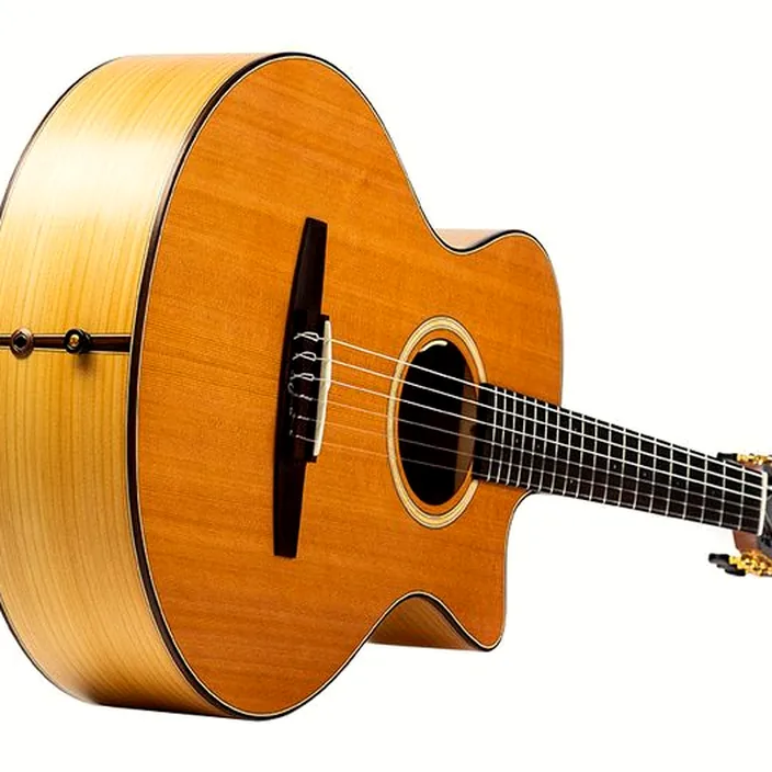 Et Avis Guitare classique Lakewood A-36 CP Crossover