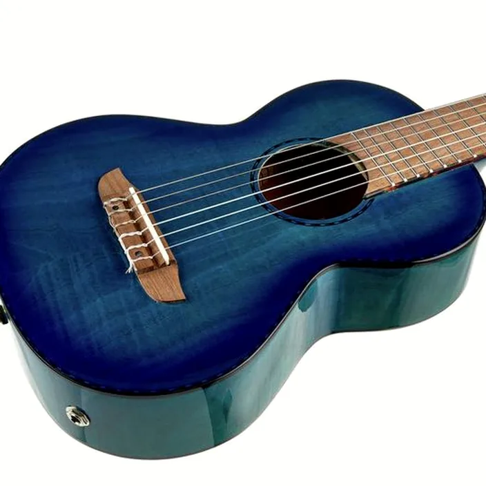 Et Avis Guitare Classique Ortega RGLE18BLF Guitarlele