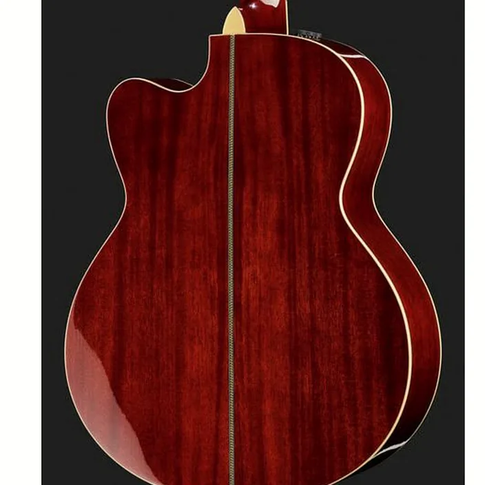 Et Test Guitare acoustique Larry Carlton A4-G VS