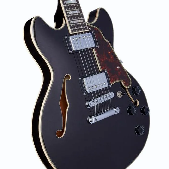 DAngelico Premier Mini DC Black Flake
