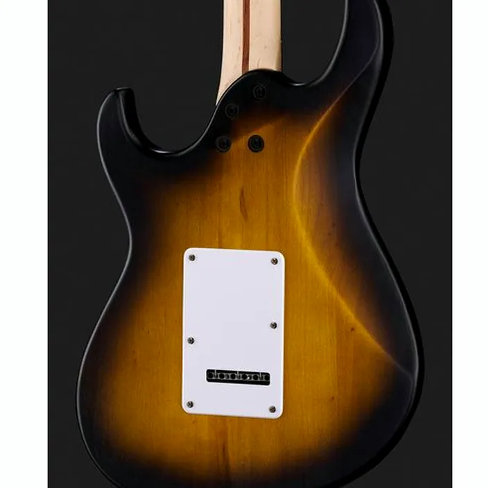 Cort G110 Open Pore Sunburst : Avis, Test et Comparatif